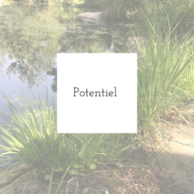 Potentiel